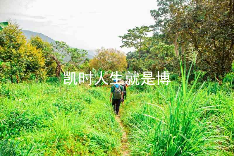 凯时人生就是博